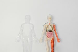 Read more about the article Ace Your Nursing Career in Canada: A Comprehensive Guide for Internationally Educated Nurses