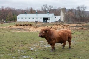 Read more about the article Unlock Your Canadian Dream: Claresholm’s New PR Pathway Prioritizes Key Sectors!