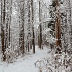 Thunder Bay RCIP: Discover Designated Employers for Your Permanent Residence Dream