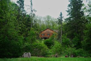Read more about the article Devastating Cuts to OINP Allocation: What It Means for Ontario Immigration Dreams