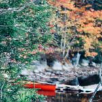 Nova Scotia’s Pictou County Unveils Vital Priority Occupations for Rural PR Pathway in 2025