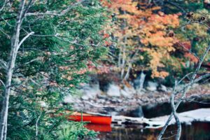 Read more about the article Nova Scotia’s Pictou County Unveils Vital Priority Occupations for Rural (RCIP) PR Pathway in 2025