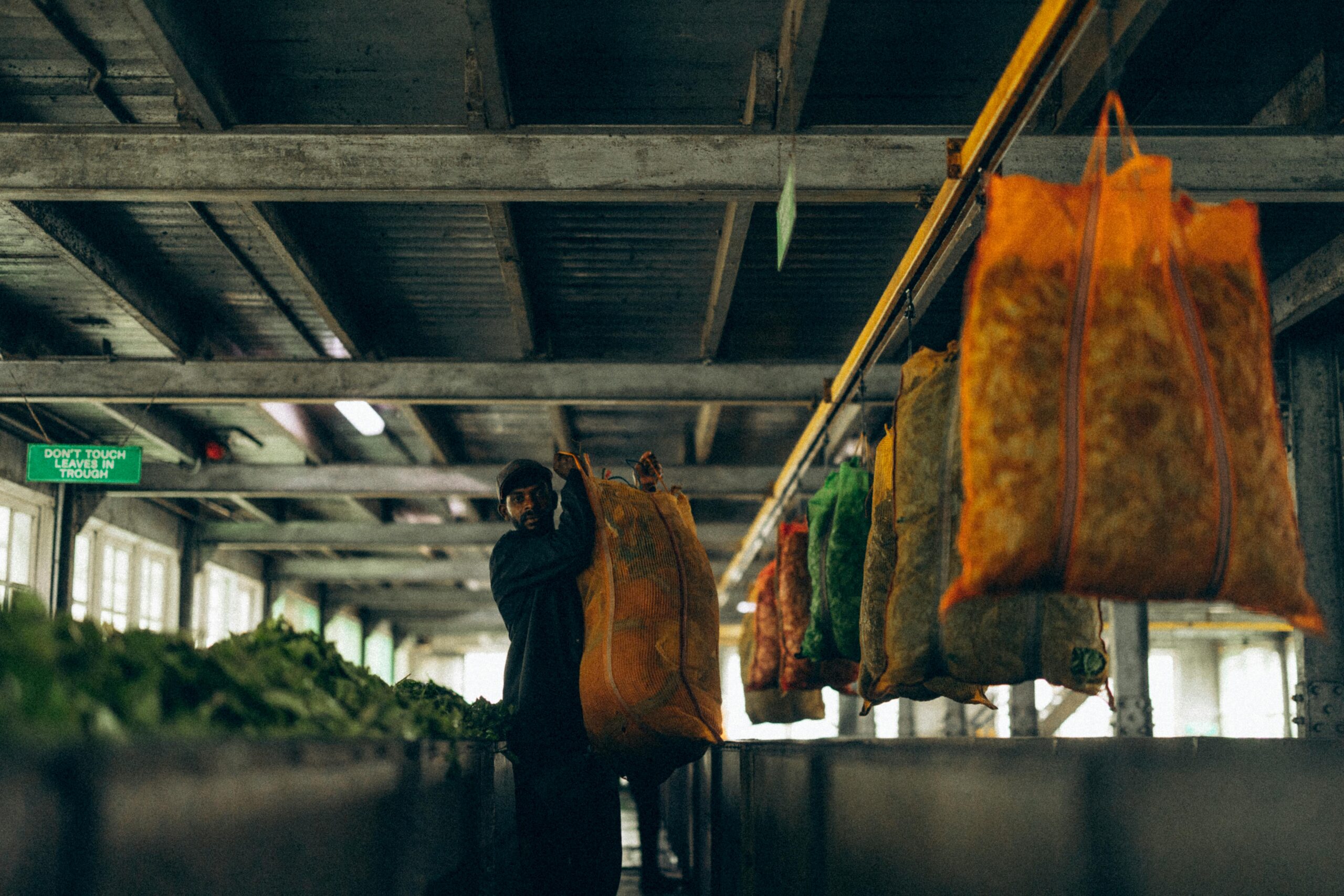 You are currently viewing Canada’s Daring New Foreign Worker Stream: A Glimpse into Agriculture & Fish Processing’s Promising Future