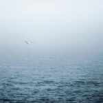 Urgent Nova Scotia PNP Update: A Shocking Pause on Certain 2025 Applications