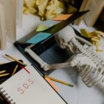 A Definitive Guide for International Students: Mastering PGWP-Eligible Programs and PTE Exam Savings