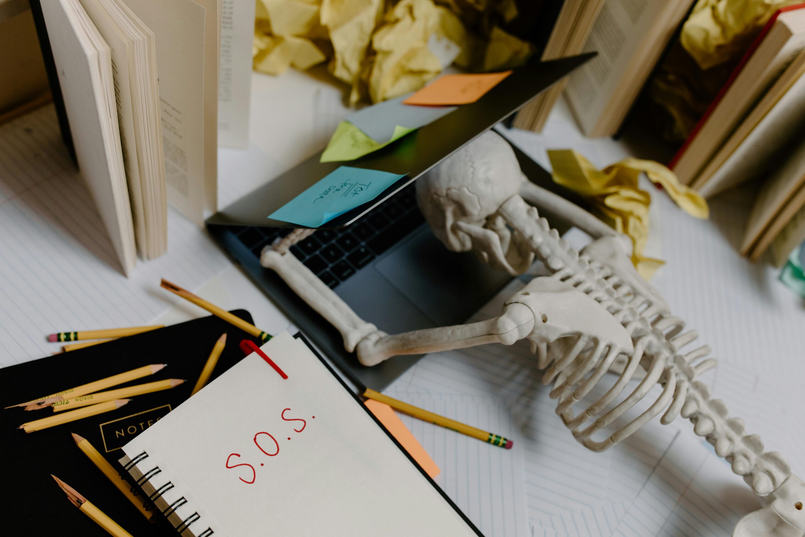 You are currently viewing A Definitive Guide for International Students: Mastering PGWP-Eligible Programs and PTE Exam Savings