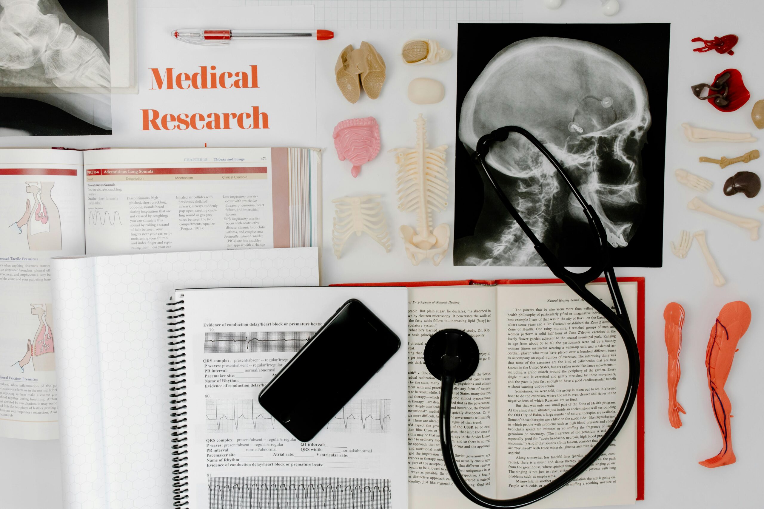 You are currently viewing Your Definitive Guide to the Prestigious Biomedical Neuroscience Program at USask for Aspiring Health Professionals
