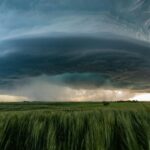 Saskatchewan’s Remarkable 2025 Immigration Boost: A Definitive Guide to the New SINP Allocation