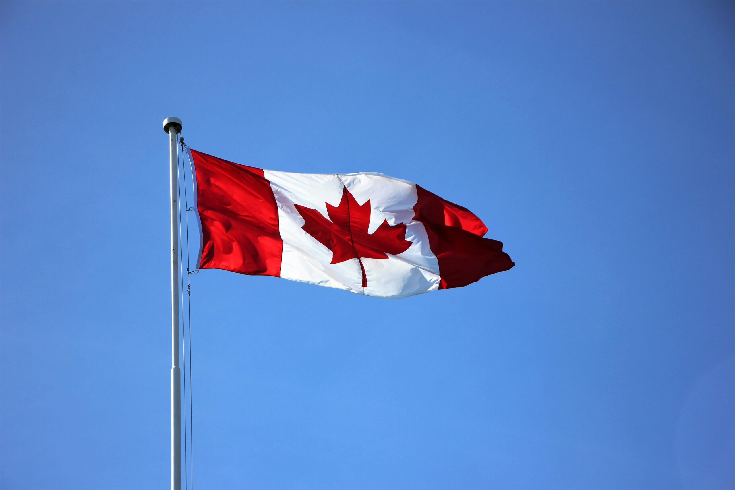 You are currently viewing Victoria International Education: A Premier Gateway for Global Students Seeking Excellence in Canada