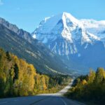 The Definitive Guide to Driving in Canada for Newcomers: Mastering Ontario’s Roads