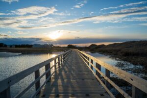 Read more about the article PEI PNP Draw Results (September 2025): A Comprehensive Guide to the Latest Invitations