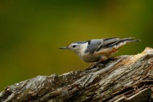 Read more about the article The Essential Guide to Filing Taxes in Canada for Newcomers: A Powerful Start