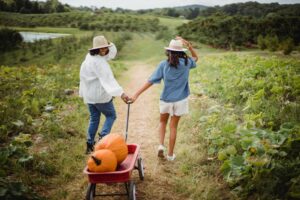 Read more about the article Vancouver’s Ultimate Guide to Unforgettable Pumpkin Patch & Fall Festivals