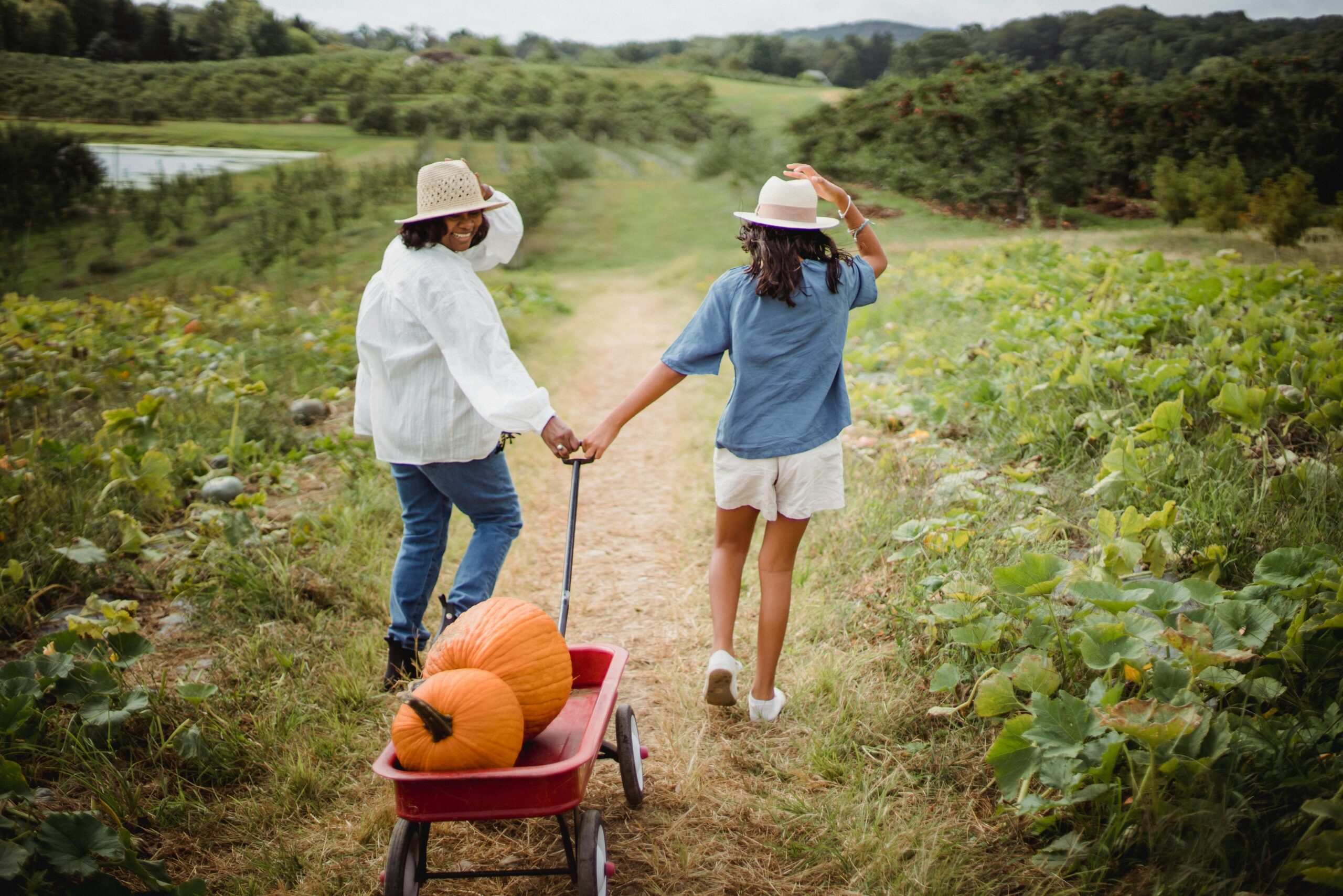 You are currently viewing Vancouver’s Ultimate Guide to Unforgettable Pumpkin Patch & Fall Festivals