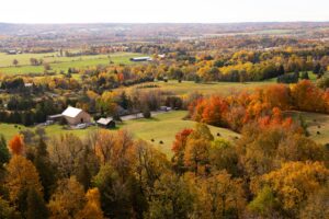 Read more about the article Alberta’s Landmark Immigration Draws: Essential Guide to the Latest AAIP Invitations