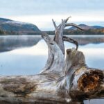 Canada’s Breathtaking Fall Foliage: An Essential Guide for Newcomers