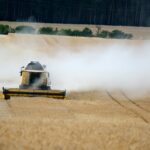 SAIT’s Groundbreaking Cyber Security Degree: A Definitive Guide to a Premier Tech Career and PGWP in Canada