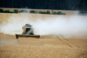 Read more about the article SAIT’s Groundbreaking Cyber Security Degree: A Definitive Guide to a Premier Tech Career and PGWP in Canada