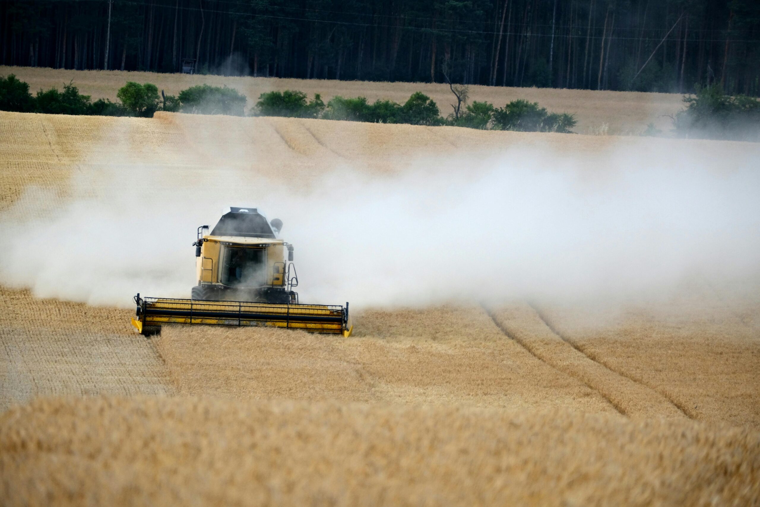 You are currently viewing SAIT’s Groundbreaking Cyber Security Degree: A Definitive Guide to a Premier Tech Career and PGWP in Canada