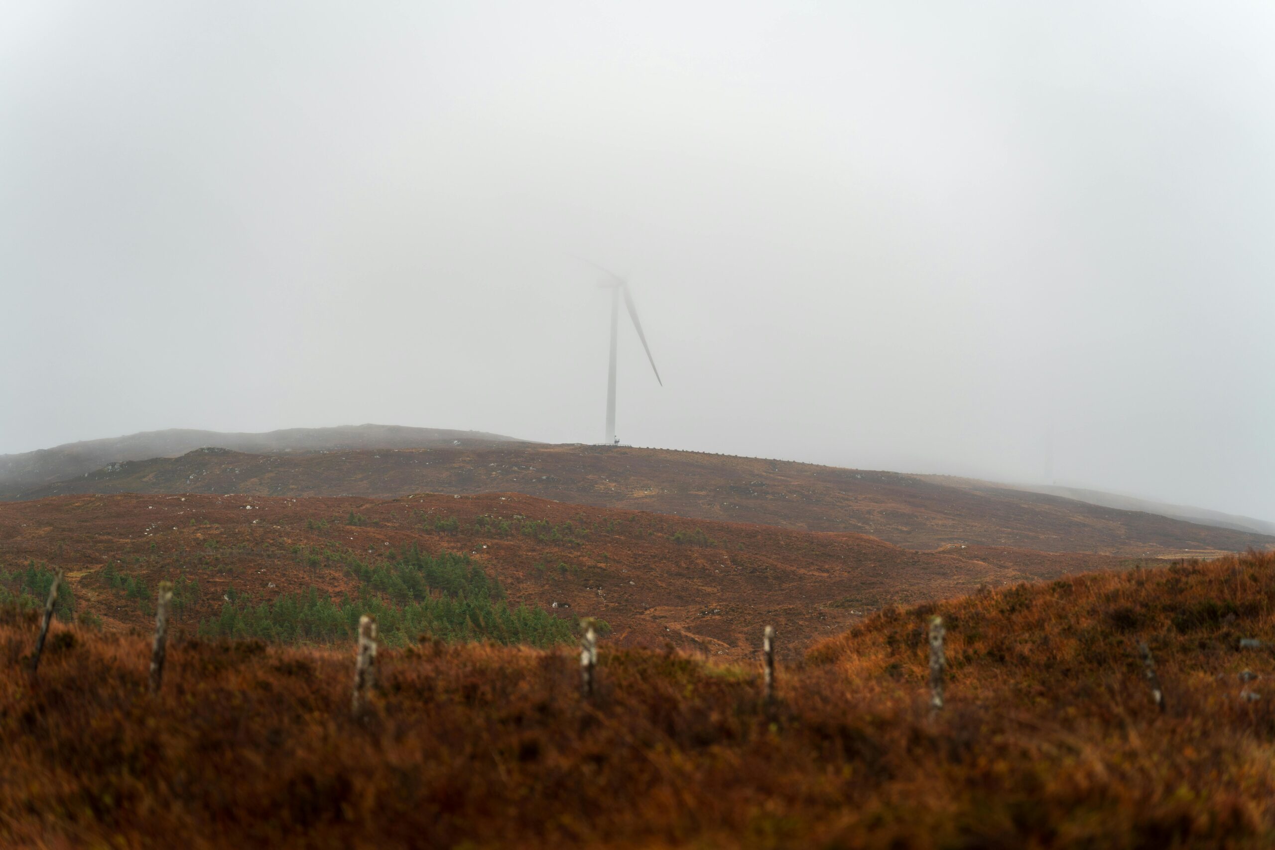 You are currently viewing Canada’s 2025 Budget: A Revolutionary Green Pathway for New Immigrants