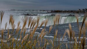 Read more about the article Maximizing Your Canadian PR Dream: A Definitive Guide to Foreign Work Experience in Express Entry