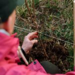 Coquitlam College East Vancouver: An Essential Guide for Aspiring International Students