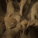 Essential Guide: Top Visa-Free Warm Destinations for Canadian Passport Holders