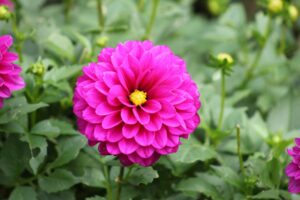 Read more about the article Canada’s Bold Strategy: Drastic Reduction in Temporary Residents Ahead of Schedule