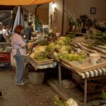 Canada Unveils Groundbreaking Climate Competitiveness Strategy to Attract Global Green Talent