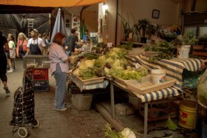 Read more about the article Canada Unveils Groundbreaking Climate Competitiveness Strategy to Attract Global Green Talent