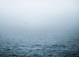 Read more about the article Groundbreaking Nova Scotia PNP Overhaul: A Crucial Guide to the New EOI System for Immigrants