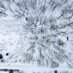 Shocking Border Denials: Your Ultimate Guide to Navigating Canada’s Criminal Inadmissibility Rules