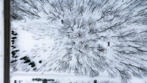 Read more about the article Vacation Days & Canadian PR: An Essential Guide to Work Experience Rules