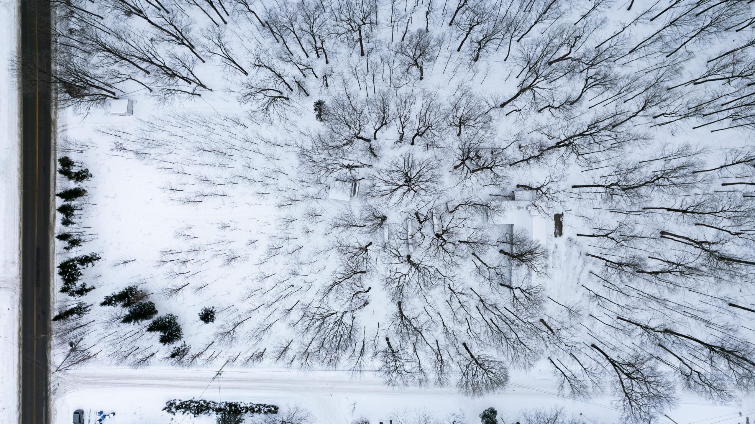 You are currently viewing Vacation Days & Canadian PR: An Essential Guide to Work Experience Rules