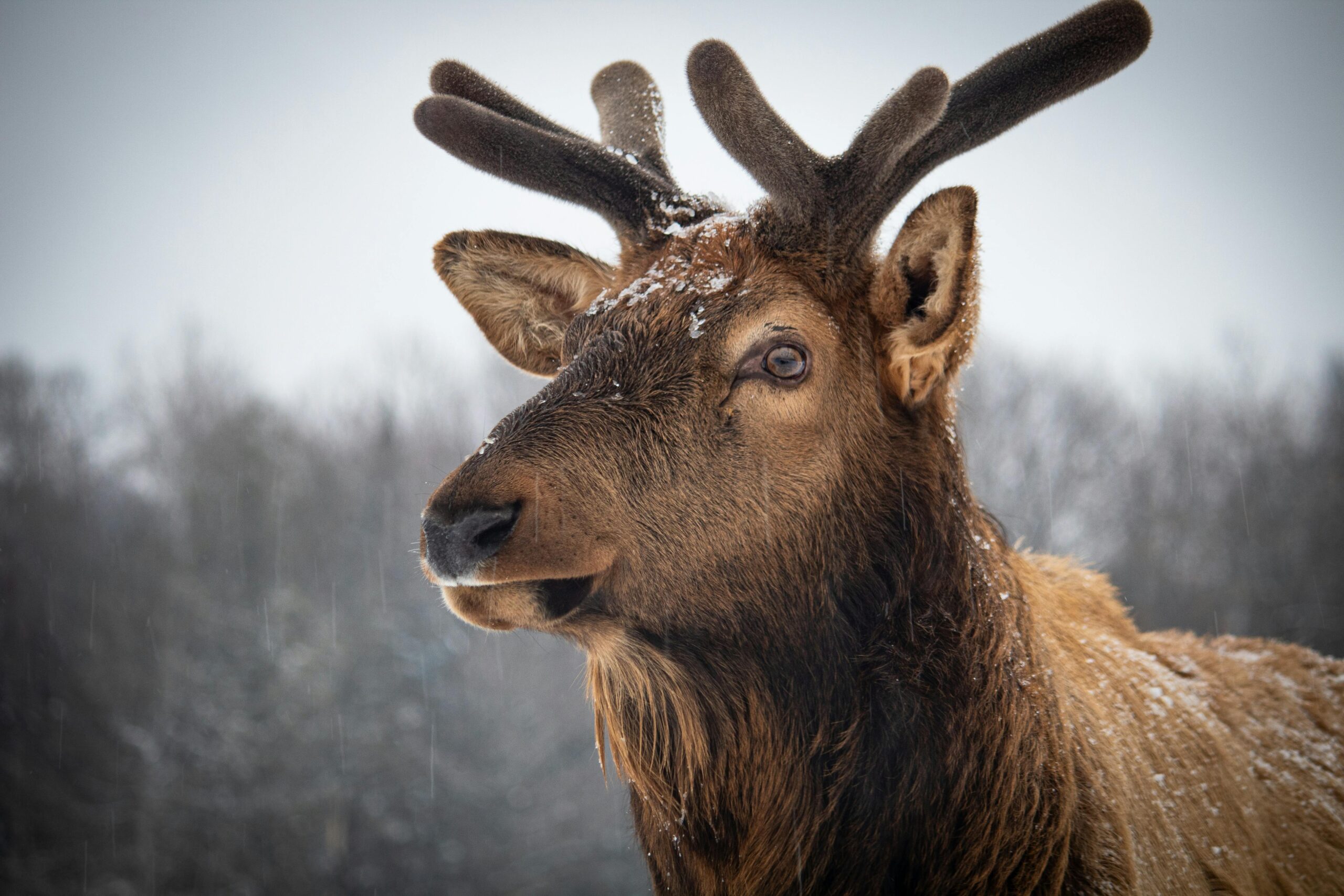 You are currently viewing Canada’s Lifeline: A Definitive Guide to the New IRCC Express Entry Category for Physicians