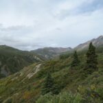 Manitoba’s Landmark December 2025 PNP Draw: A Definitive Guide for Skilled Workers