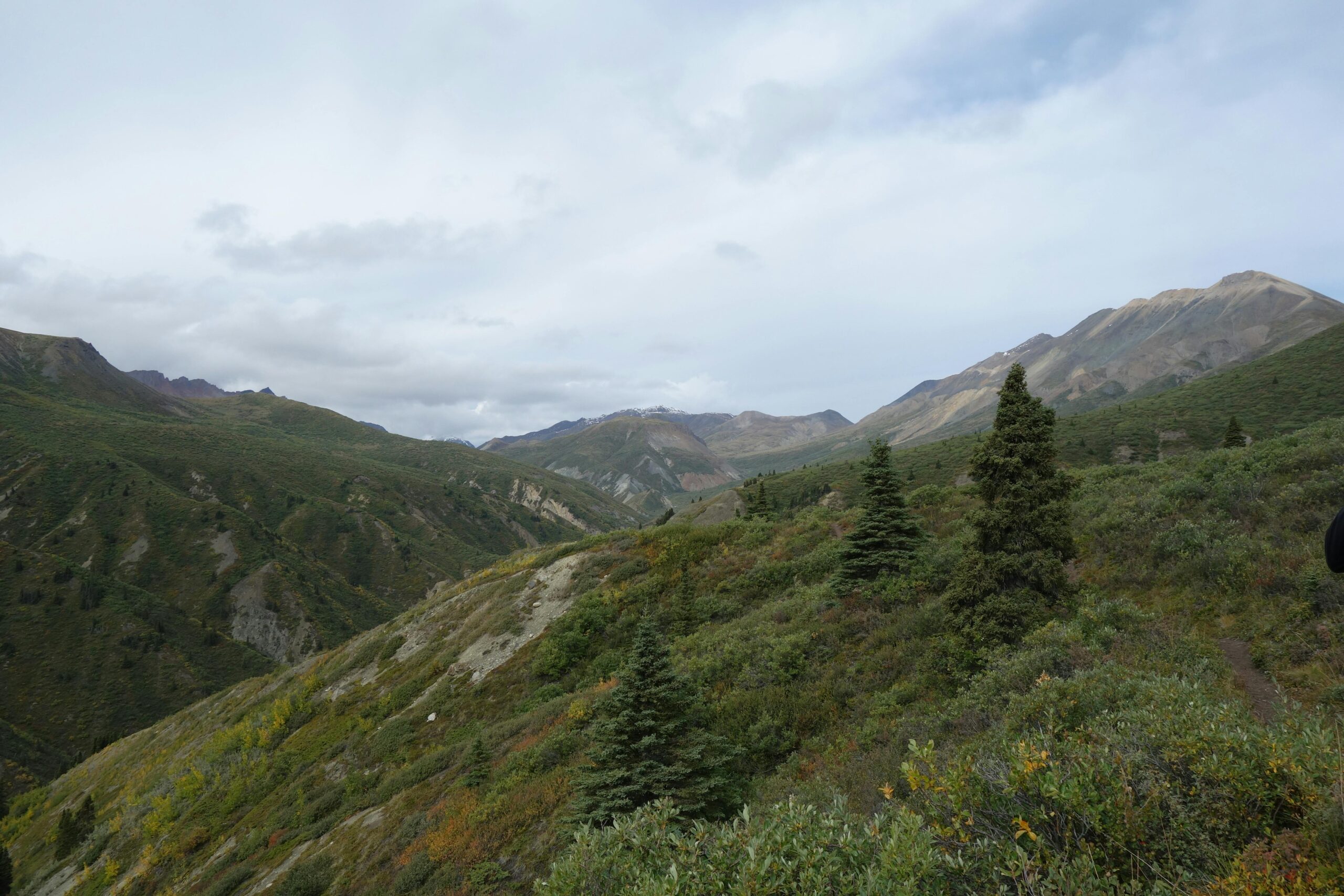 You are currently viewing Manitoba’s Landmark December 2025 PNP Draw: A Definitive Guide for Skilled Workers