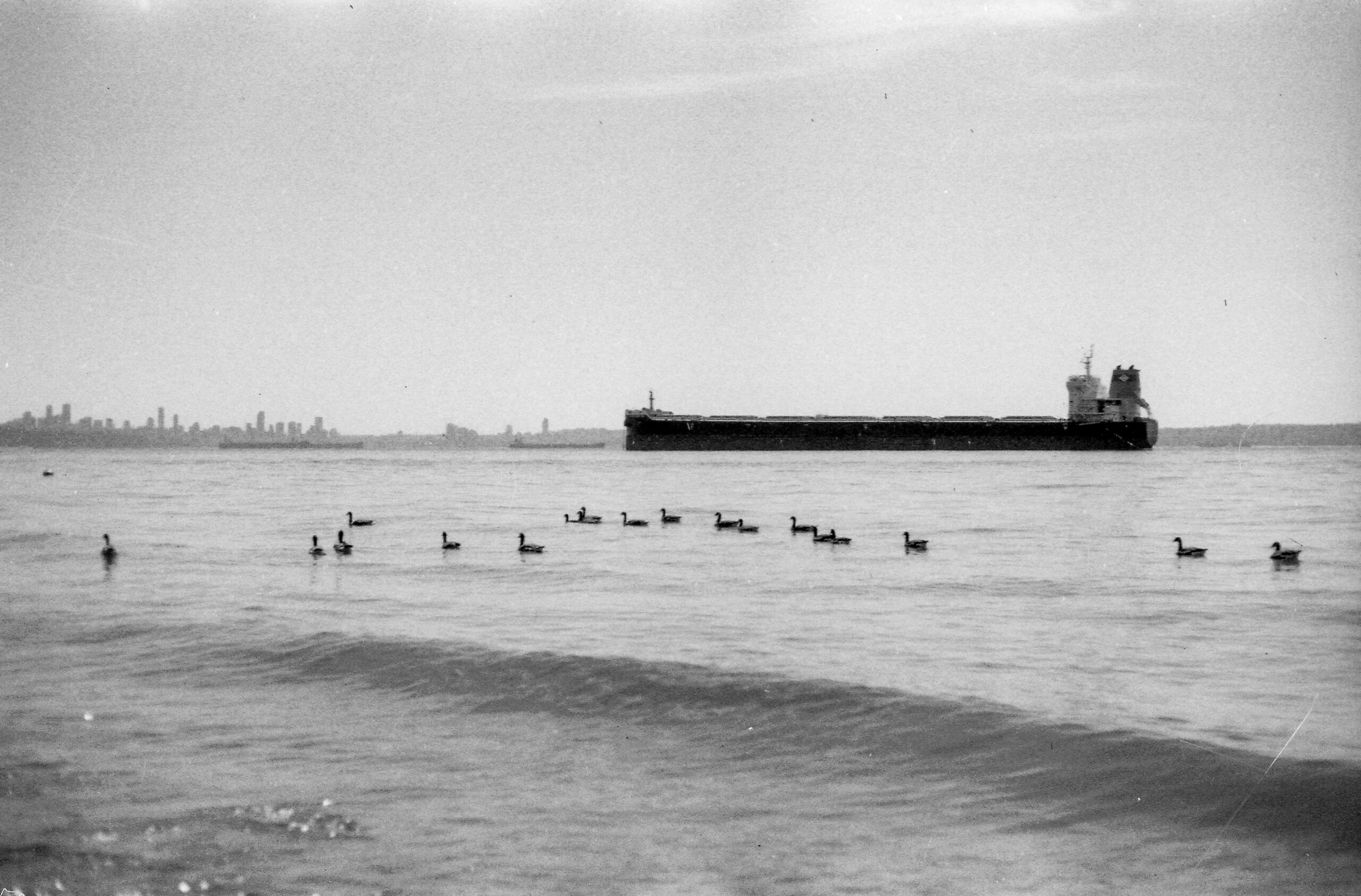 You are currently viewing A Definitive Guide to Homeownership for Temporary Residents in Canada: New StatCan Insights