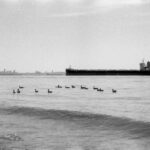 Canada’s Unwavering Commitment to Migrants: A Definitive Guide to the International Migrants Day Statement