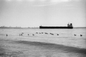 Read more about the article Canada’s Unwavering Commitment to Migrants: A Definitive Guide to the International Migrants Day Statement