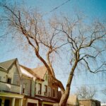 IRCC’s December 2025 Update: Remarkable Improvements in Canada Immigration Processing Times Revealed