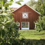 Strategic Relocation: Can Moving to Another Province Boost Your Canadian PR Chances?