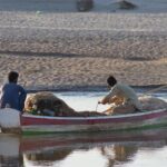 Saskatchewan’s Bold 2026 SINP Overhaul: A Definitive Guide to New Allocations and Priority Sectors