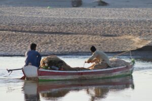 Read more about the article Saskatchewan’s Bold 2026 SINP Overhaul: A Definitive Guide to New Allocations and Priority Sectors