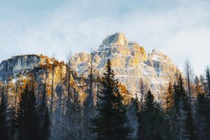 Read more about the article Your Ultimate 2026 Guide to Canadian Vacation and Holiday Rights for Newcomers