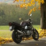 Experience Canada’s Breathtaking Winter: An Essential Guide for Future Immigrants and Visitors