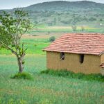 Master Your Craft: A Definitive Guide to VCC’s Cosmetology Programs and PGWP Pathway in Vancouver