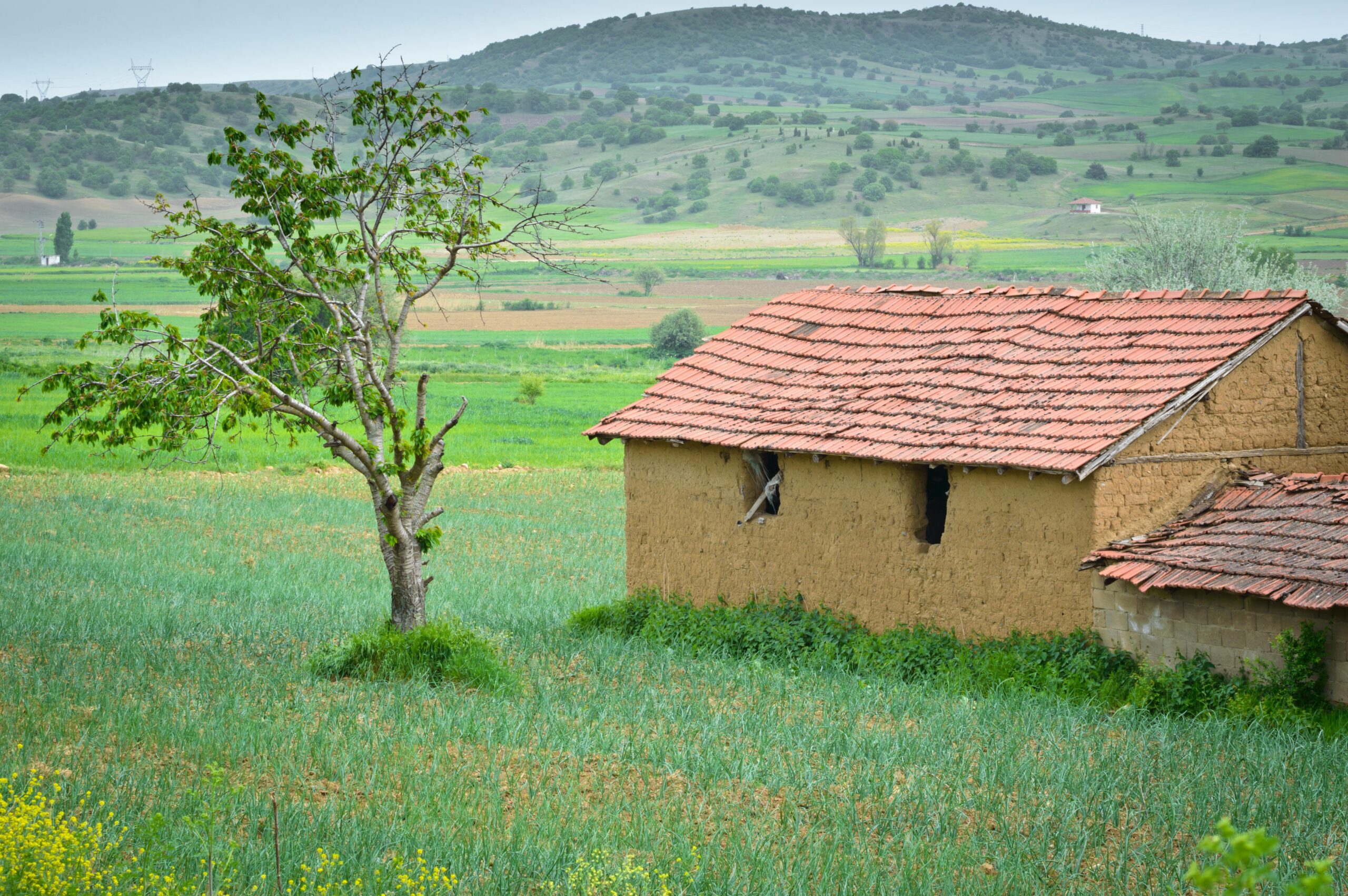 You are currently viewing Master Your Craft: A Definitive Guide to VCC’s Cosmetology Programs and PGWP Pathway in Vancouver